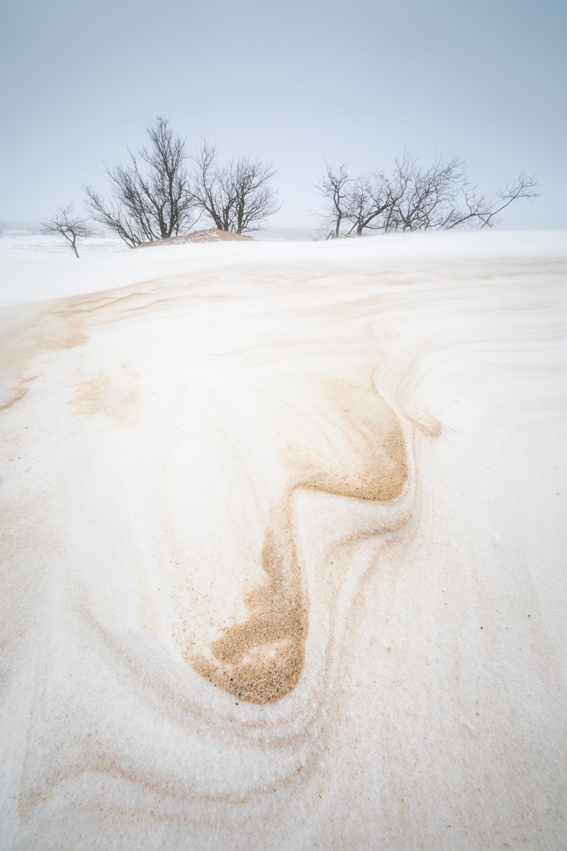 Loonse en Drunense Duinen - Landschapsfotografie - © Dion van den Boom | Fotografie - Alle rechten voorbehouden.