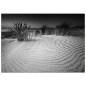 Zwart-wit landschapsfoto van het Banjaardstrand in Zeeland met focus op zandstructuren en bewegend helmgras bij de duinen.