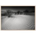 b4feb031-a6bd-4239-8d01-8d7b8cc61817