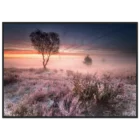 00980a67-6e81-45c3-9f40-6bc721998499