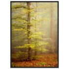 021a81ff-be70-4b3d-9360-0e7fb36b09e0