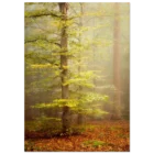 0cd62a57-2ed1-40ad-8a14-ff4ea1b31265