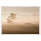0e194f8d-028d-4c3c-a308-e3eb31276f19