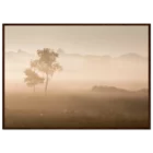 18443534-ee87-4833-87a2-3815c0b4f44d