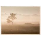 2289a249-bf0b-4281-8994-2a25f0e8a0cc