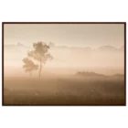 2e05c037-55b4-4b44-b012-2f07c7be0906