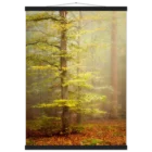 2eee2a2b-c369-4077-ad89-59f6af200eb8