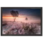 3a17f8b8-8ab3-4b4d-8e04-6df529d5f189