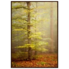 3c31cbdf-d2df-4c55-95ce-7a1fe76e7954