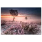 3fd1c31b-6c39-4cf8-a5be-b9d62de9858e