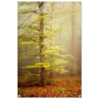 40b824d2-9ab2-4dad-8f7a-12b863692c1c