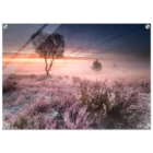 454a36e3-5975-4970-baaa-24ecb9679b6e