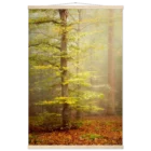 4b50532c-6e6c-485d-8012-9b0e976297c5