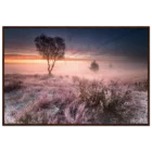4ca07bdd-0677-456c-8d0c-1782b6bdc93e