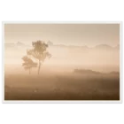 54e285f6-77f1-4a3c-b4c5-0d91b4ce335b