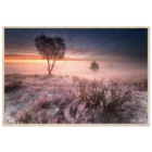 57bb7680-9a3c-433d-b476-a62b323ba0c1