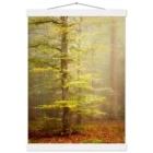 59fdeb96-0827-4f6a-93e1-4058783a6507