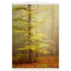 5e849a1f-895e-4f89-985a-db57821a7dbe
