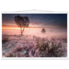 61dec244-b7e8-4a91-a30f-b19718327bec