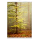 6c1f0027-ad8c-41a1-8b47-937f12b73818