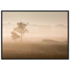 6d5bb447-ce12-4d9e-9692-e45f9375051c