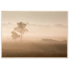 6e5b92d8-bf28-4dd4-8037-8ab3cfcf0c13