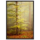 6e9b00a5-6dd9-4502-b354-85674898bfa8