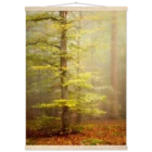 707a924d-0278-449e-8550-72cb79df4756