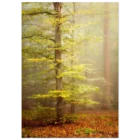 70c073a3-48fd-4244-a74a-3d6f770321a2