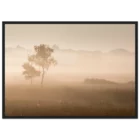 70c6b22c-d371-4be4-9472-1ae8c96a5a66