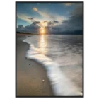 7a5b4206-a7ff-4565-aaad-d3727cde696d