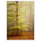 7da6a4e0-8efb-41bd-82b8-e4d0fac79733