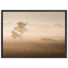 8381d0df-9965-4b25-b09e-066740e1f312