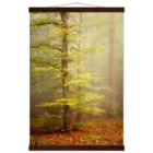 84a3e352-156b-4e08-815d-d893cc40bc61