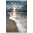8a7285a8-cf46-4c2f-bd89-e37a1f9f2df5
