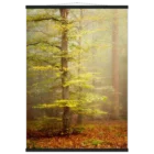 8cb90aac-b027-40c5-8a28-1c8ad9264a58