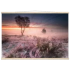 97f96e92-7342-4637-b577-f4cbeb03207e