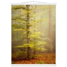 9b361fe3-7286-4ad3-87a1-68d355ad9111