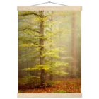a15c37a6-2805-42fa-8dcd-6a8203d06d8b