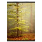 a5ae03c8-9480-4f68-956f-8b8e39b458b2