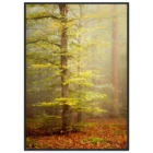 a7f67e85-13ba-43d8-90f7-1f8d15468697