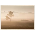 ad70ffe0-0046-44cb-be32-13969c722eb0