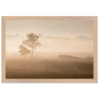 b7d684df-66b7-48bd-8e45-866577ccb911