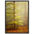b85ab5db-ac01-4290-8af5-bf6245578b0e