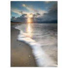 bb0363bf-280a-450e-af08-6b4e64b4e06e