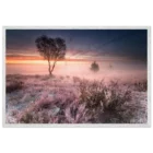 bd6aaa4c-7f23-4a47-adaa-9d4e0feb40ad