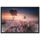 be38f483-6e1c-4a49-b920-0372bb696324