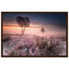 c0a72ced-d39d-4dc6-9040-a2e7d235815c