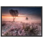 c70b0b02-cf14-45e9-bbc8-091c0cfa5c18