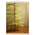c736e897-3a9d-41b6-83d1-2255293dc9e2